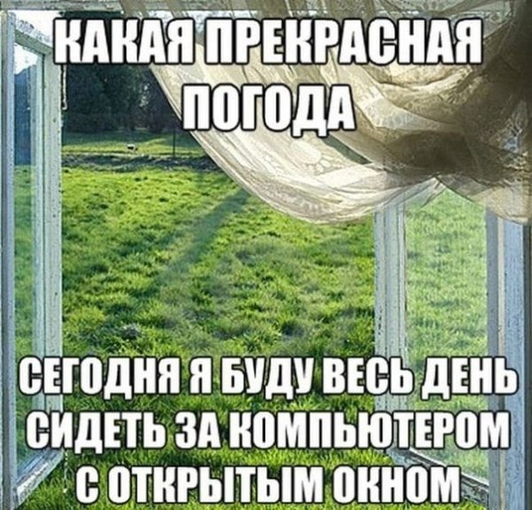 Приколы про погоду летом