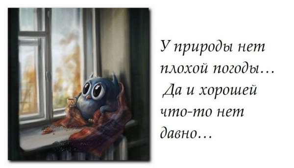 Смешно о плохой погоде