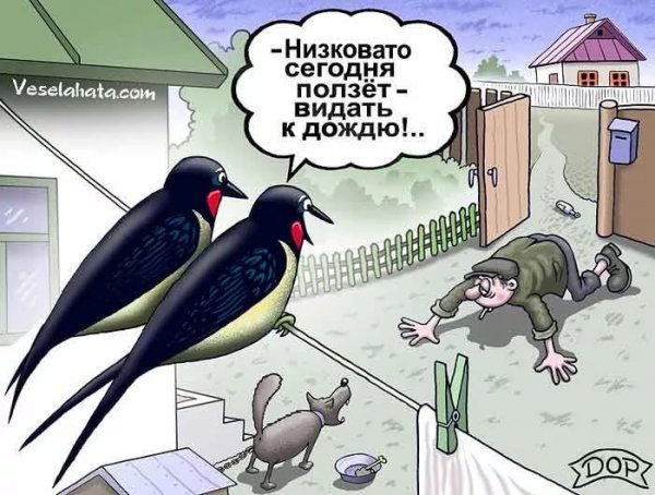Смешные приметы