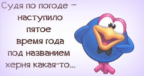 Шутки про погоду