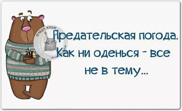 Открытки про погоду смешные