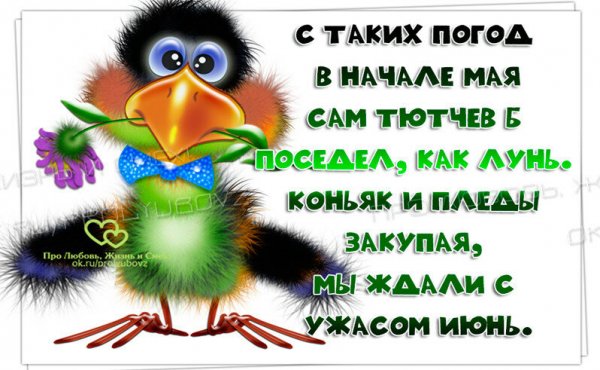 Шутки про погоду
