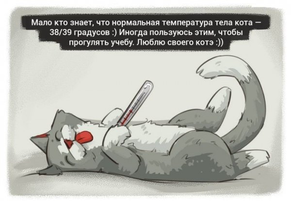 Температура прикол