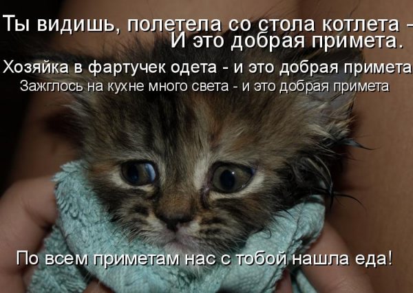 Киска заболела
