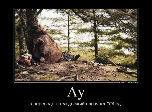 Демотиваторы про лес