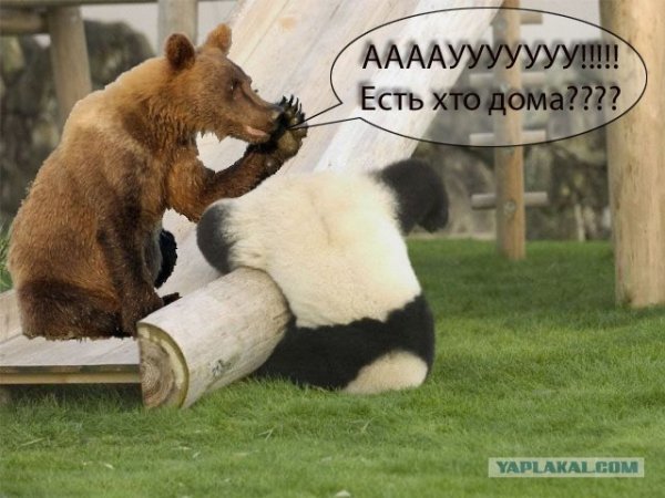 Где все картинки прикольные