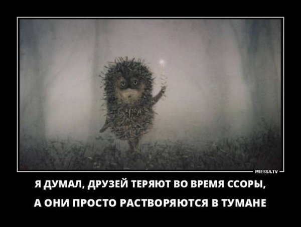 Ежик в тумане Мем