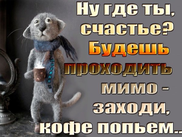 Где же ты картинки