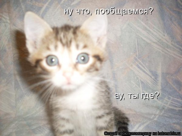 Открытки ты где