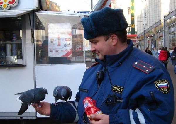 Менты полиция