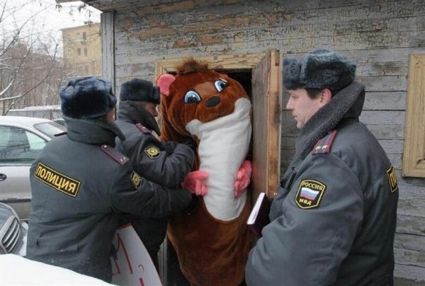 Смешная полиция