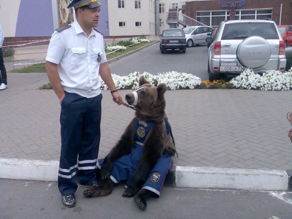 Полицейский прикол