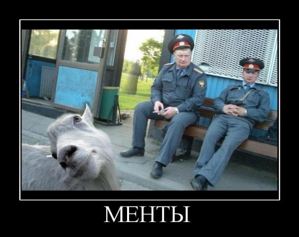 Демотиваторы про милицию