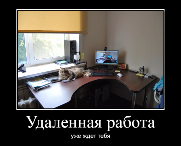 Удаленная работа прикол