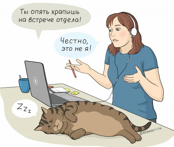 Удалёнка мемы