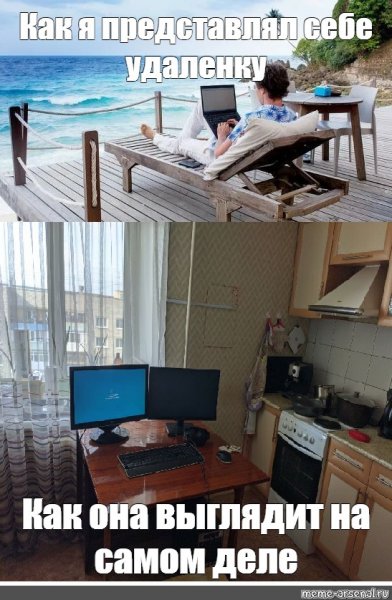 Удаленка прикол