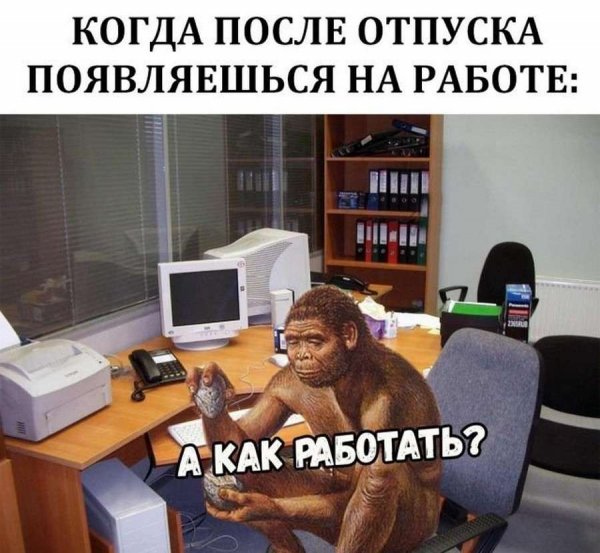 Мемы про работу
