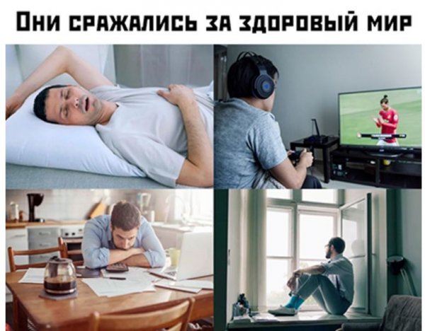 Мемы юмор
