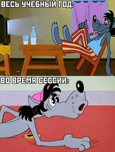 Мемы 2019 картинки