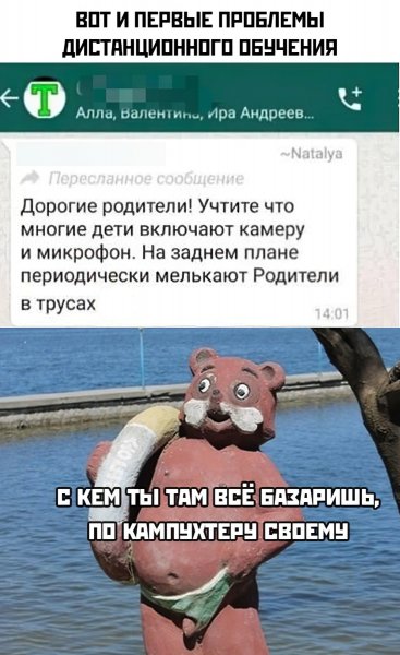 Мемы про Дистанционное обучение