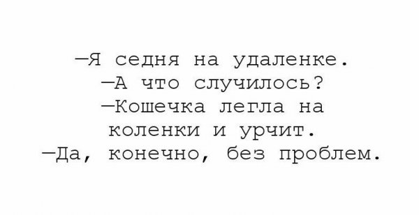 Ribalych.ru ржачные картинки с надписями