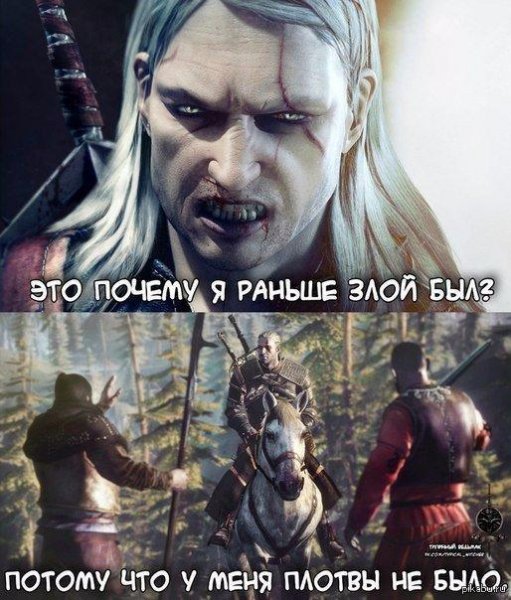 Плотва Ведьмак мемы