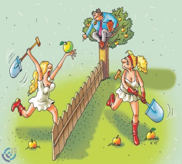 Дача карикатура