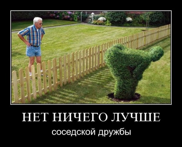 Соседи карикатура