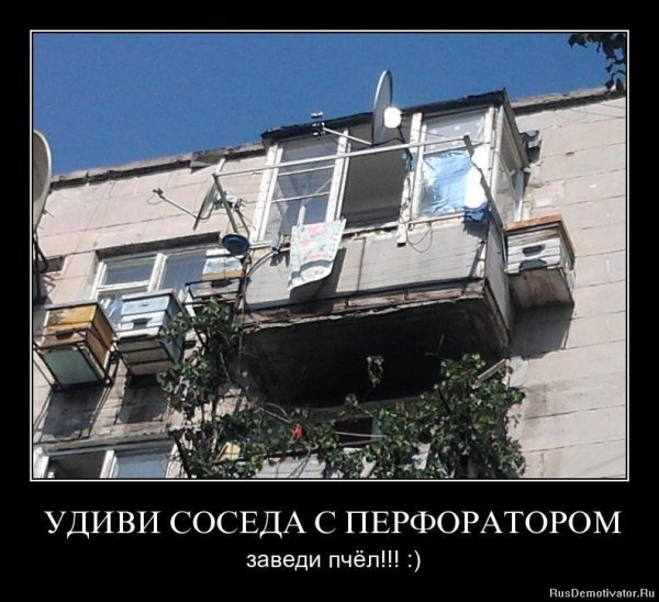 Анекдоты про соседей прикольные
