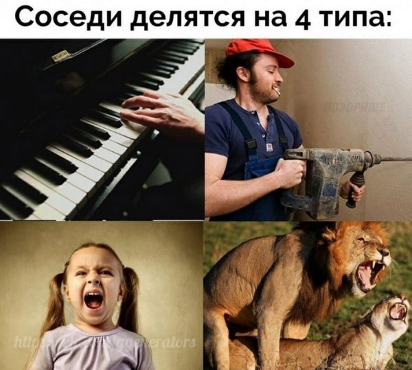 Высказывания про соседей