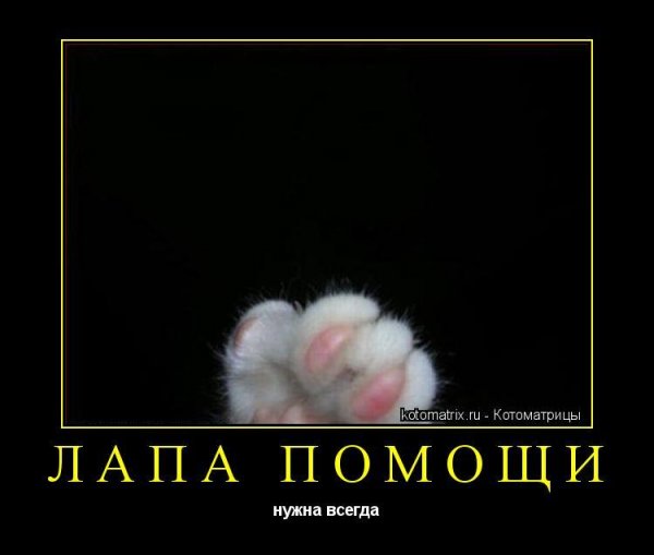 Слова поддержки прикольные