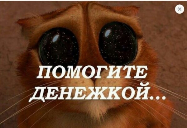 Дай денежку