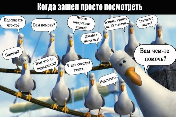 Афоризмы про продавцов смешные