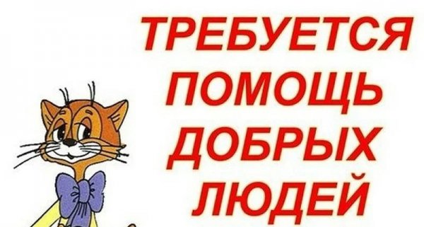 Картинка помогите