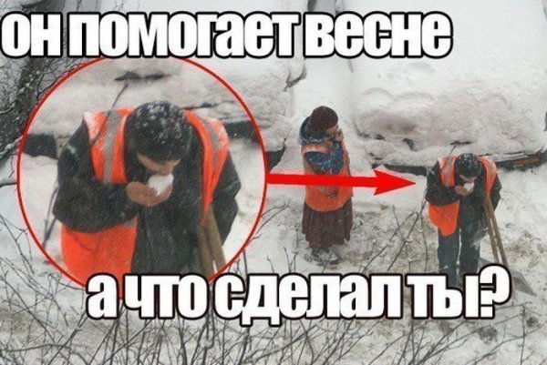 Помоги весне ешь снег