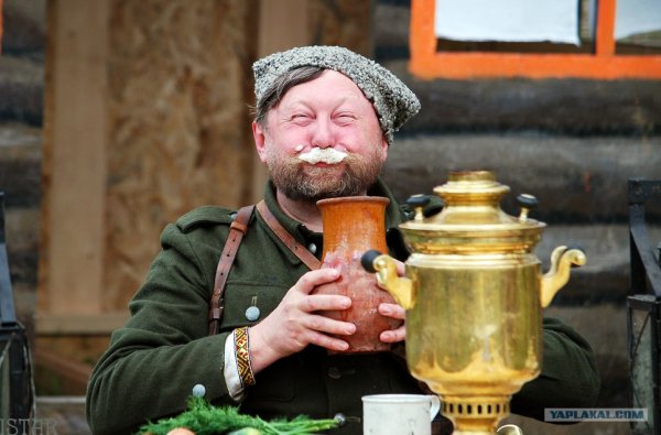 Казаки пьют