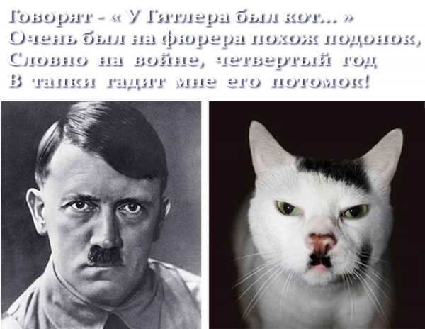 Гитлер смешные картинки