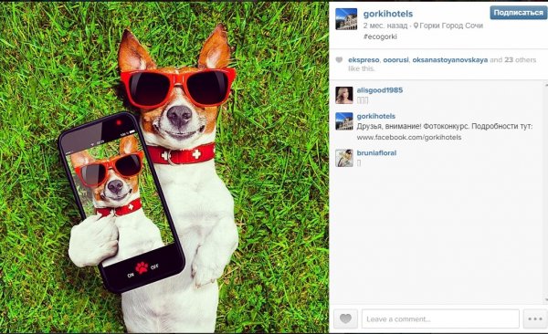 Классные посты для инстаграмма