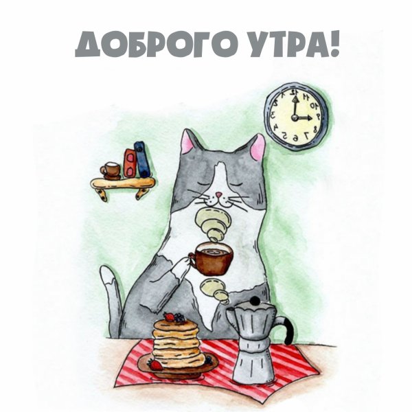 Котик пьет кофе