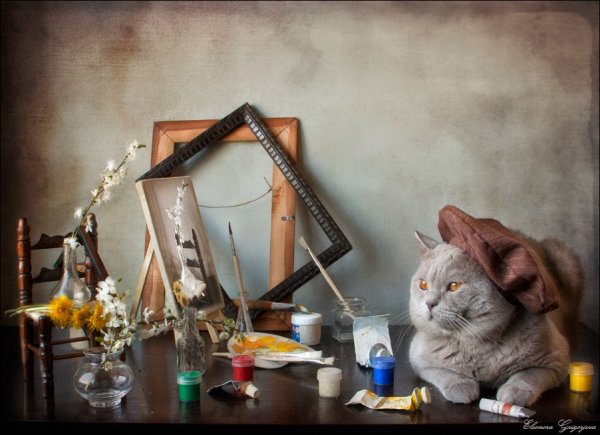 Коты художницы