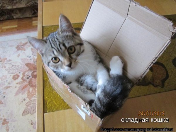 Афоризмы про переезд