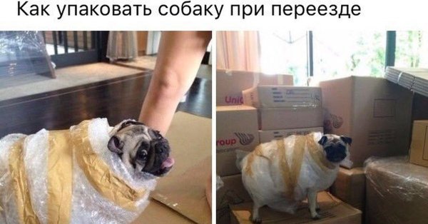 С переездом прикольные