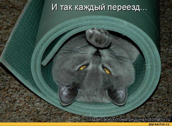 С переездом прикольные