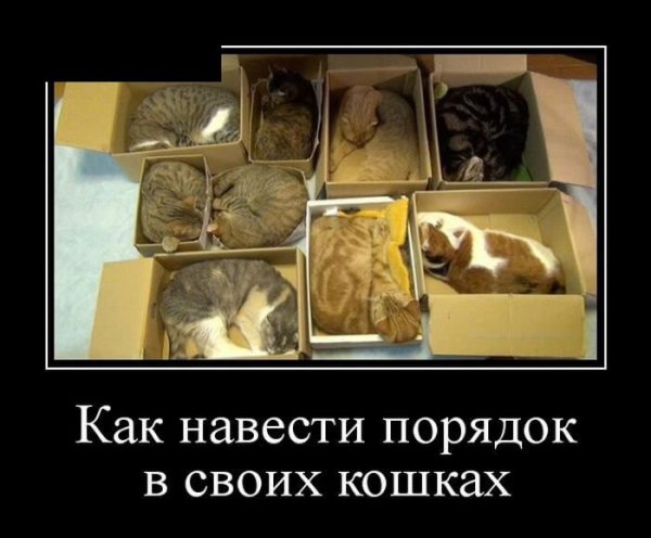 Демотиваторы про порядок