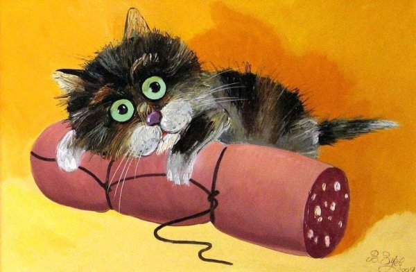 Жадный котик