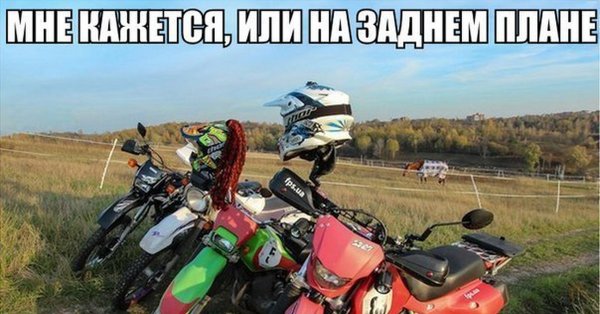 Мото приколы