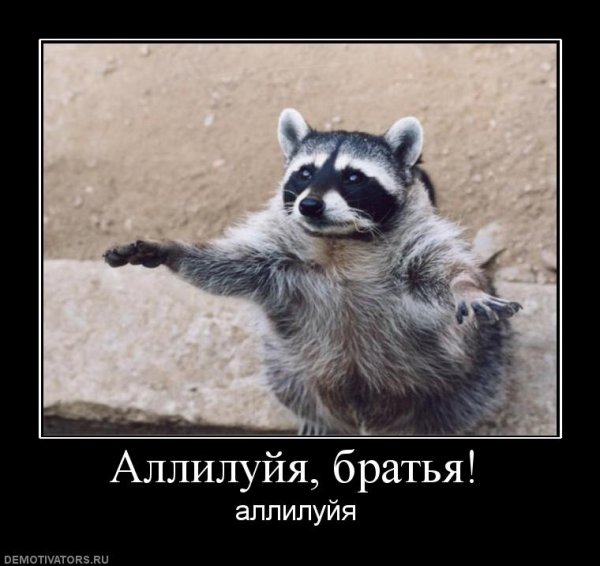 Аллилуйя смешные
