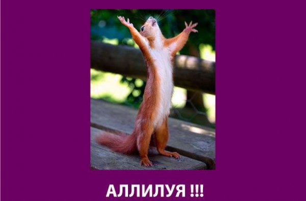 Аллилуйя свершилось чудо