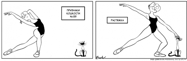 Вызывают лысого из