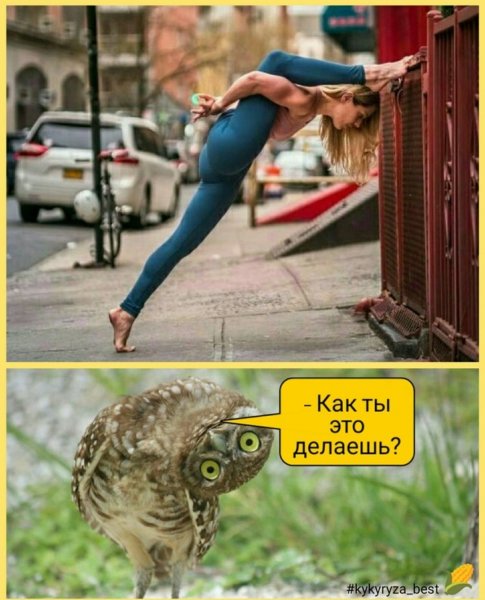 Стретчинг юмор